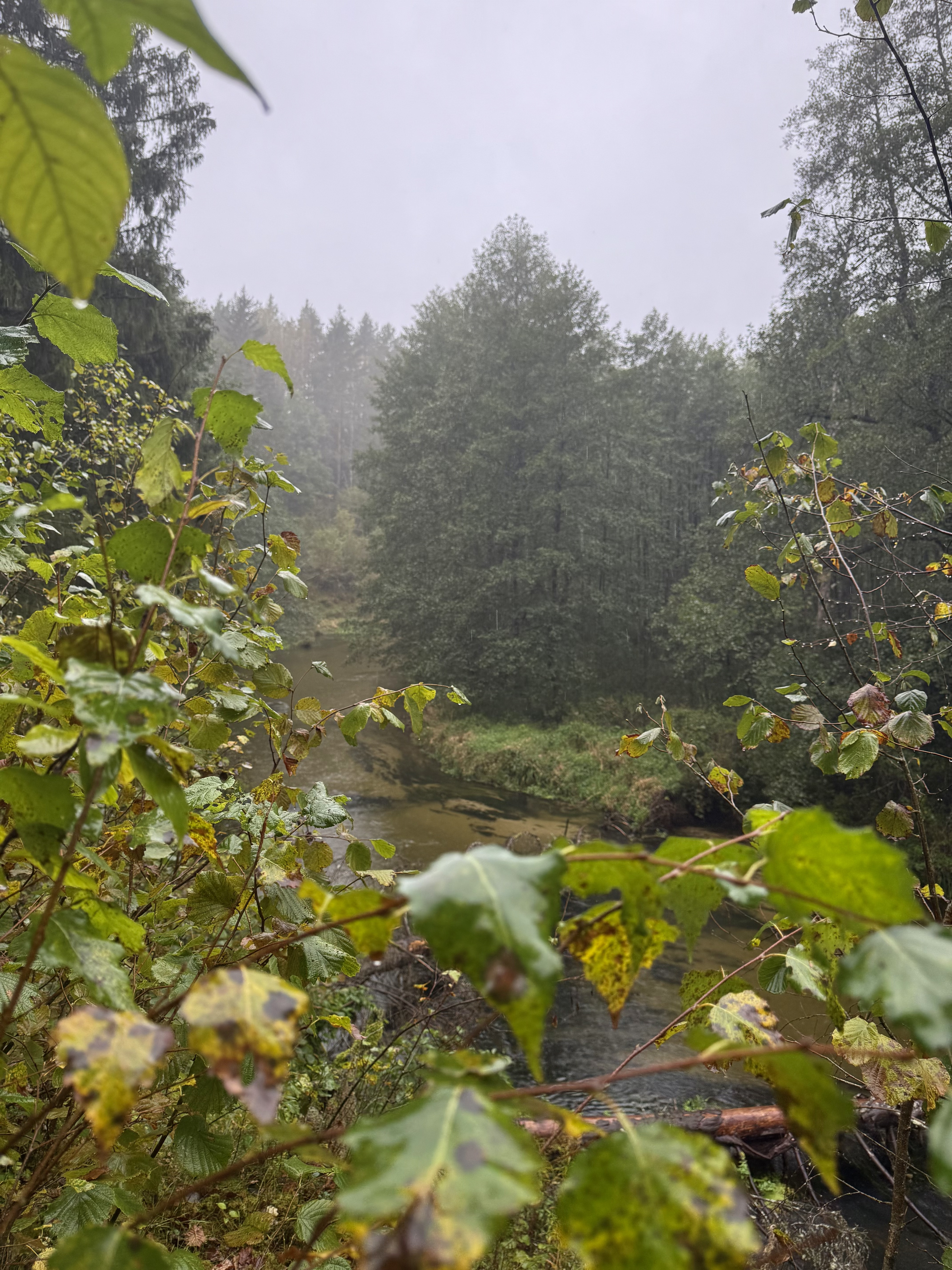 Августовский канал - 2025 — 18