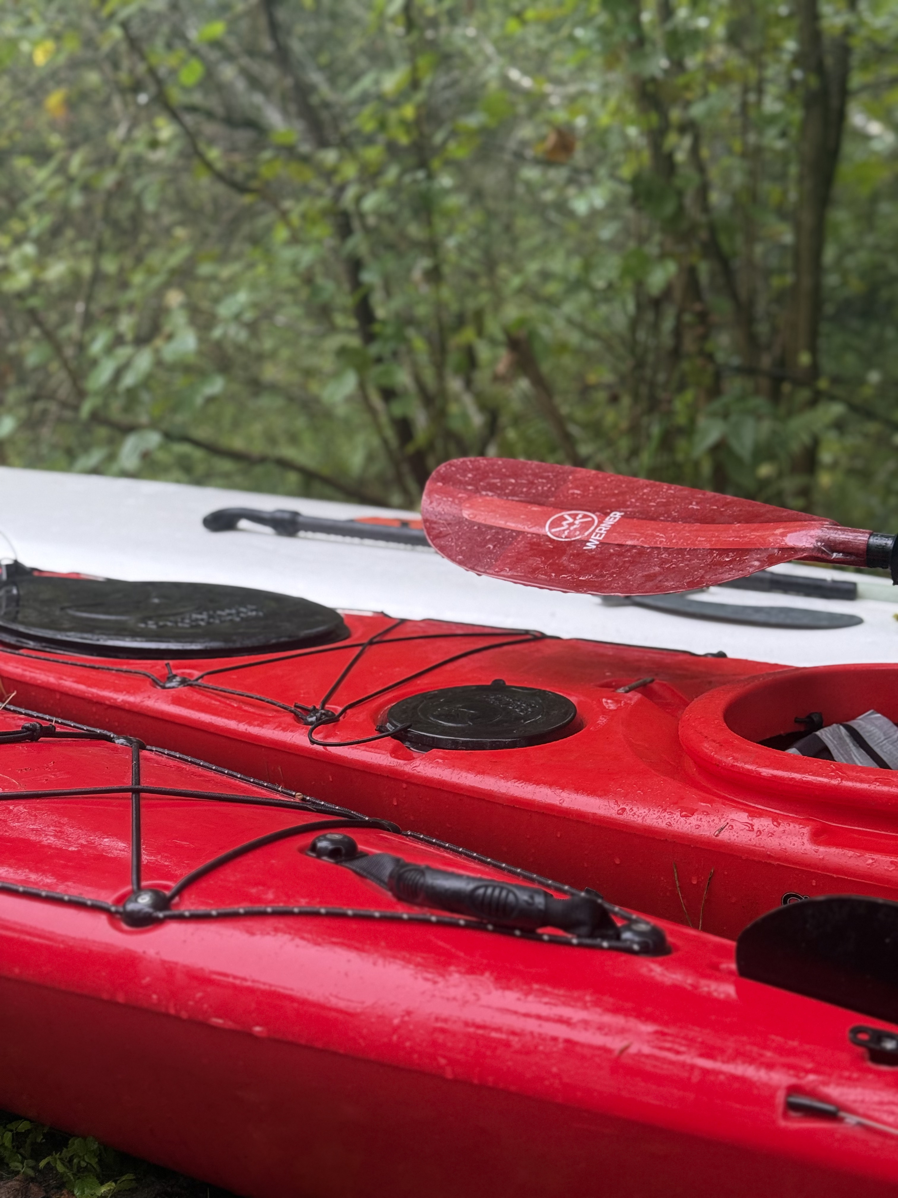 Августовский канал - 2025 — 19