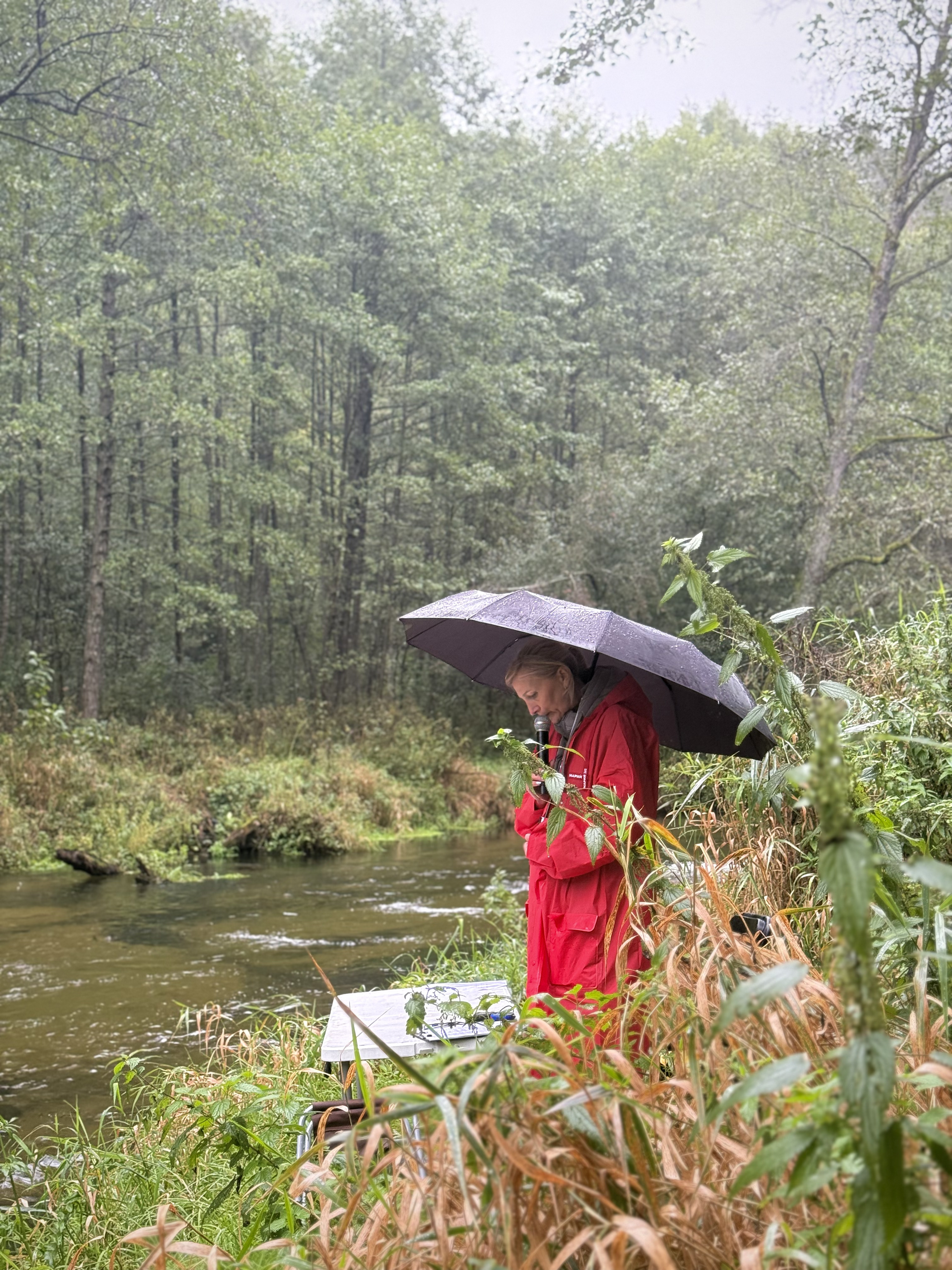 Августовский канал - 2025 — 27